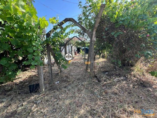 Terreno venda em Castelo Branco