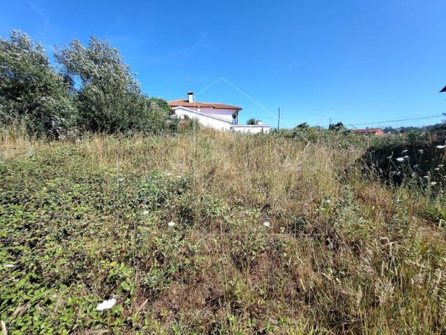 Terreno venda em Valongo do Vouga, Águeda