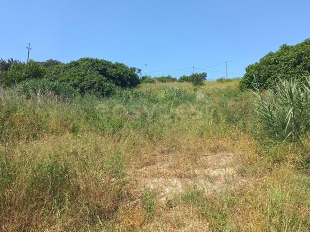 Terreno venda em Santarém