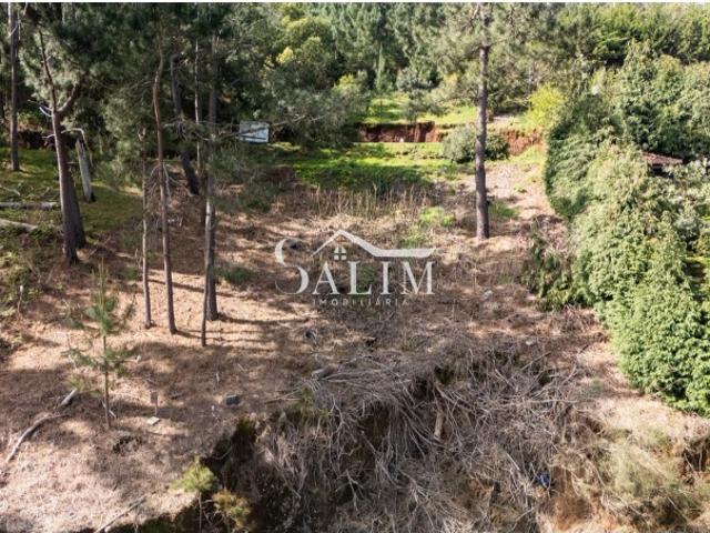 Terreno venda em Santa Cruz, Ilha Da Madeira