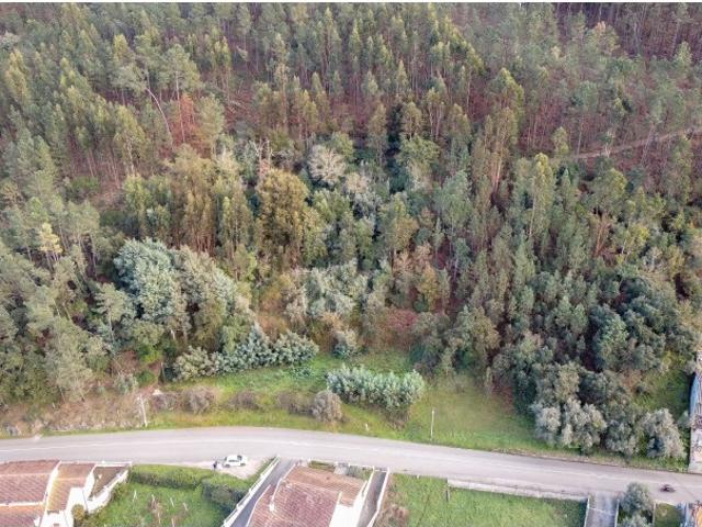 Terreno venda em Lousã, Coimbra