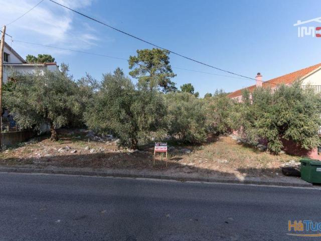 Terreno venda em Porto De Mós, Leiria