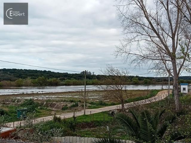 Terreno venda em Alcácer Do Sal, Setúbal
