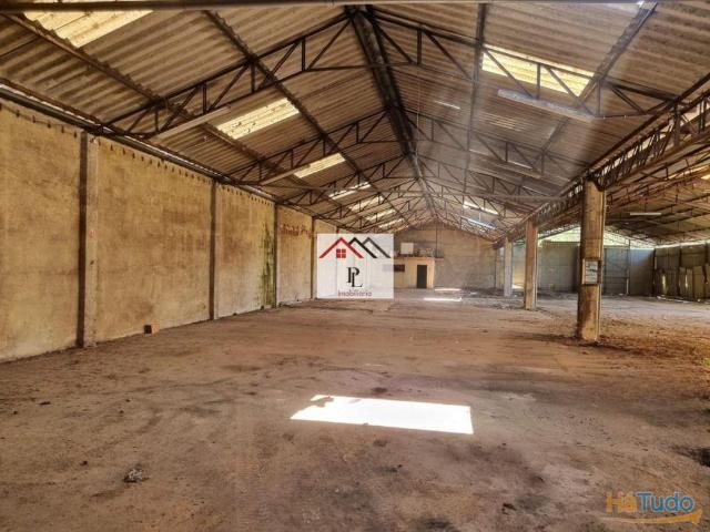 Armazém venda em Anadia, Aveiro