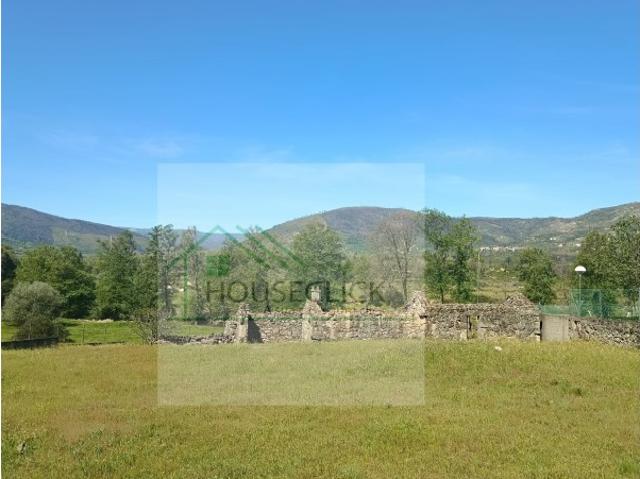 Terreno venda em Castelo Branco