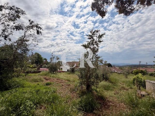 Terreno venda em Casal de Santarém, Figueiró Dos Vinhos