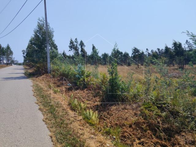 Terreno venda em Cavadas de Baixo, Águeda