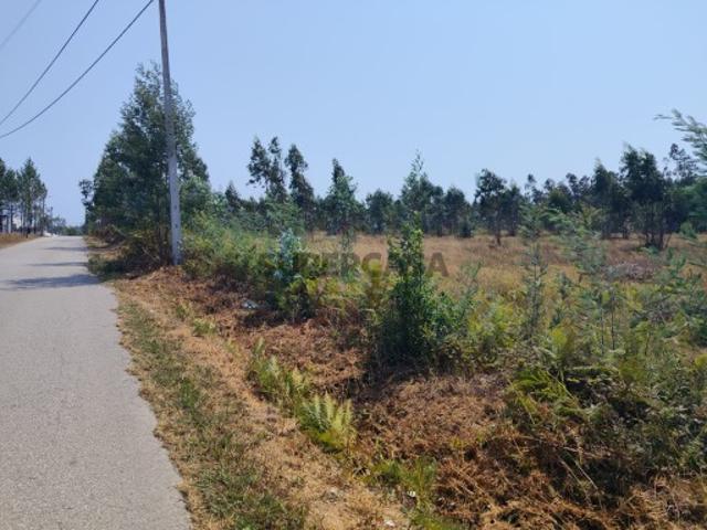 Terreno venda em Águeda, Aveiro