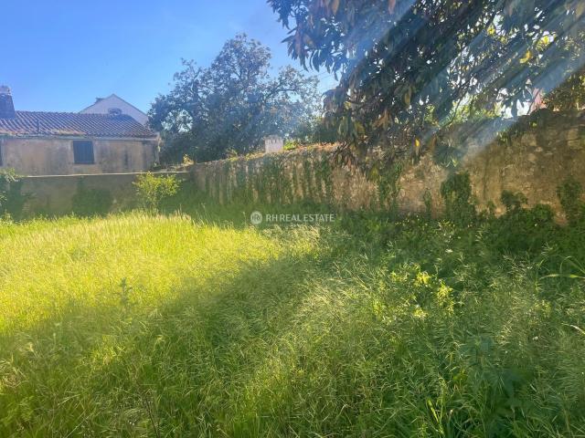 Terreno venda em Cantanhede, Coimbra