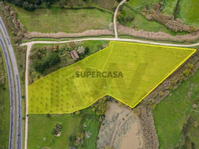 Terreno venda em Santarém