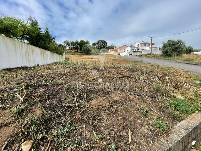 Terreno venda em Chamusca e Pinheiro Grande, Chamusca