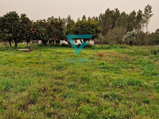 Terreno venda em Casal dos Maios, Leiria