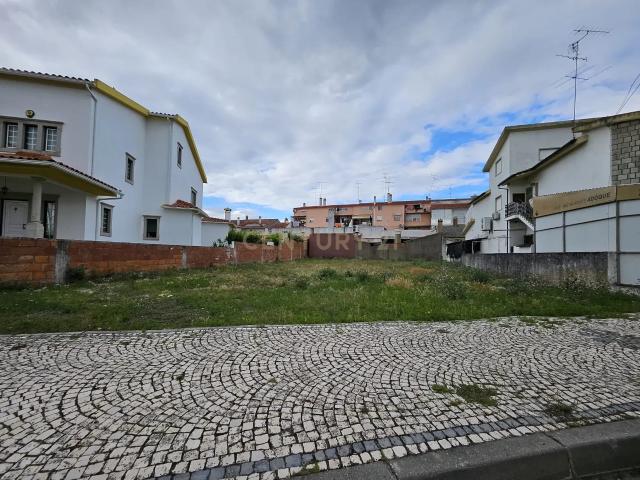 Terreno venda em Castelo Branco