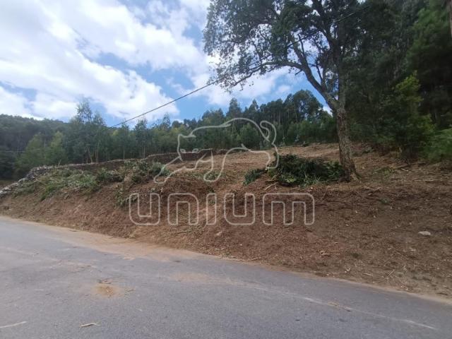 Terreno venda em Caminha (Matriz) e Vilarelho, Arga De Baixo