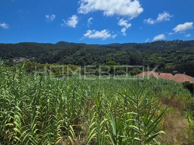 Terreno venda em Selão, Colares