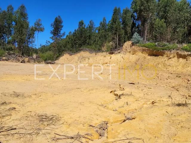 Terreno venda em Santarém Terreno venda em Santarém