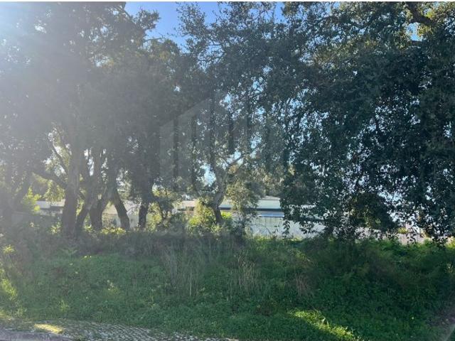 Terreno venda em Sesimbra (Castelo), Sesimbra