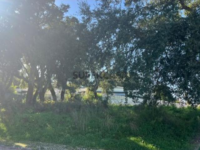 Terreno venda em Castelo, Sesimbra