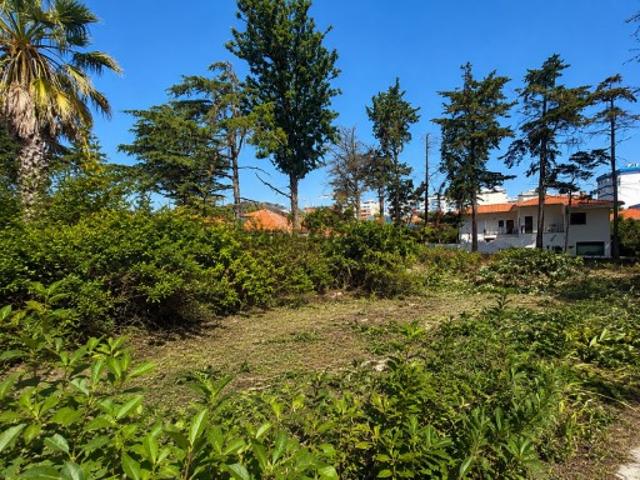 Terreno venda em Oeiras, Lisboa