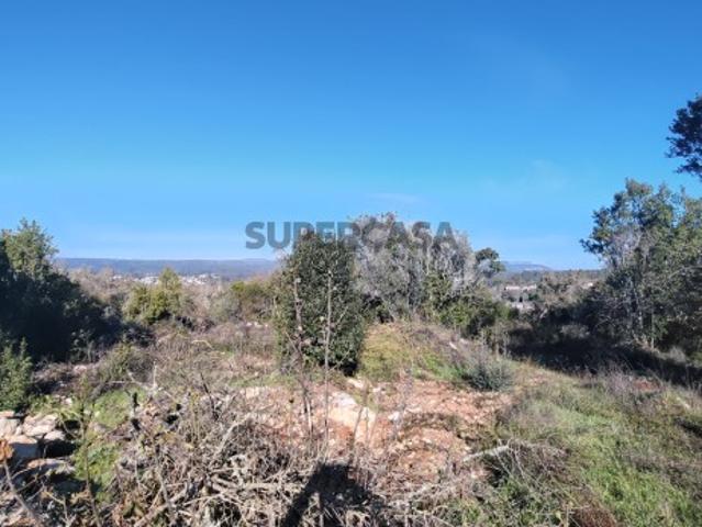 Terreno venda em Ansião, Leiria