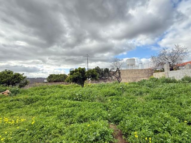 Terreno venda em São Brás De Alportel, Faro