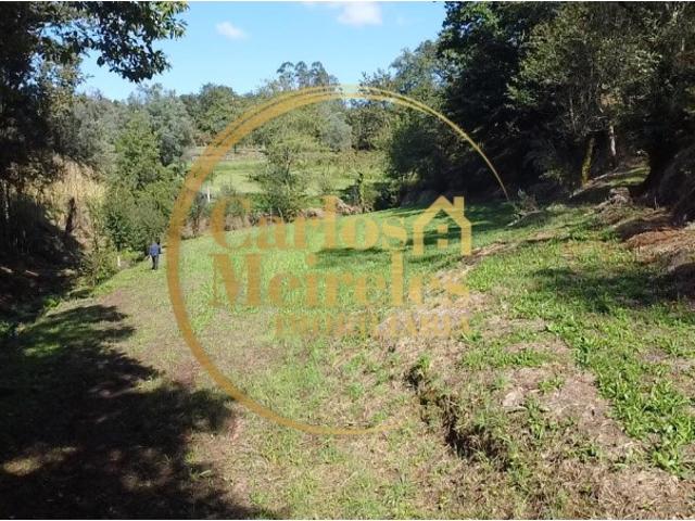 Terreno venda em Ribeira do Neiva, Vila Verde