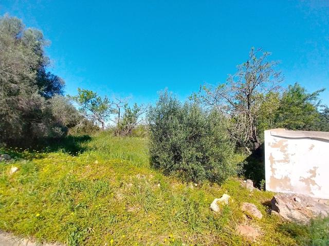 Terreno venda em Albufeira, Faro