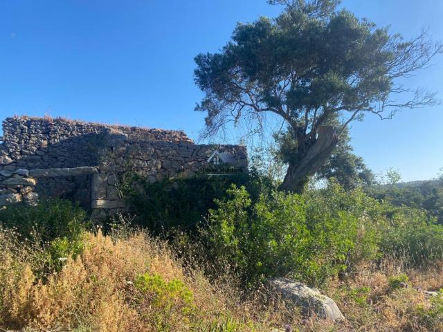 Terreno venda em Loulé, Faro