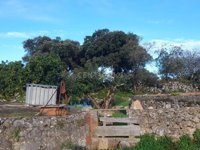 Terreno venda em Alcanena, Santarém
