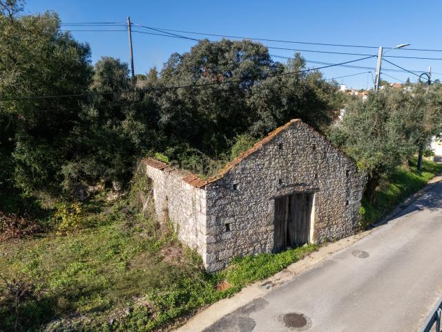 Terreno venda em Madalena e Beselga, Tomar