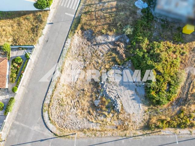 Terreno venda em Castelo Branco
