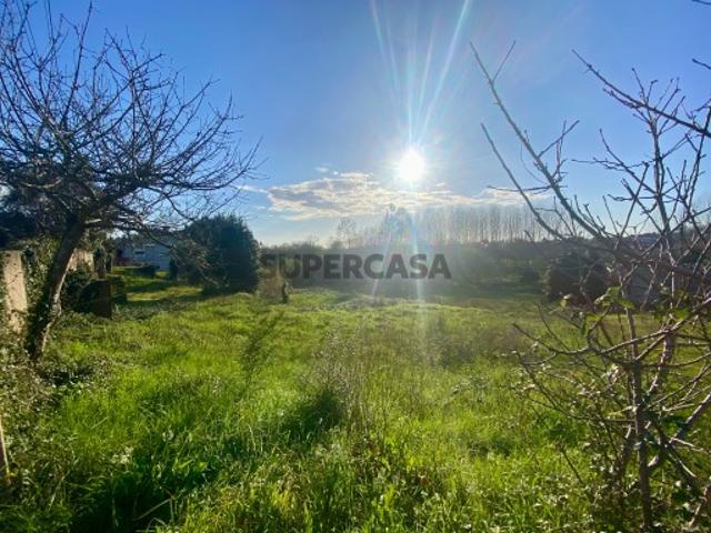 Terreno venda em Águeda, Aveiro