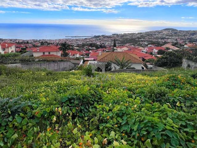 Terreno venda em Luso-brasileira, Funchal
