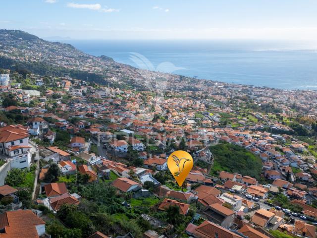 Terreno venda em Funchal, Ilha Da Madeira