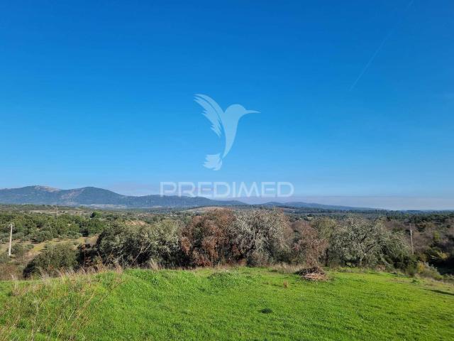 Terreno venda em Castelo Branco, Idanha-a-nova