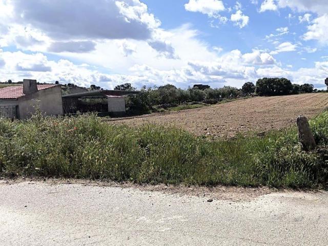 Terreno venda em Matela, Bragança
