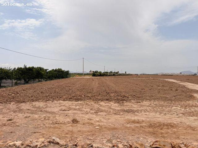Local Comercial en venta en La Palma, Campo de Cartagena y Mar Menor