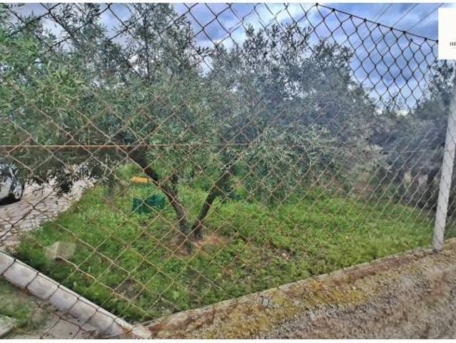 Local Comercial en venta en Urbanització Rambla del Rollet, l'Alacantí