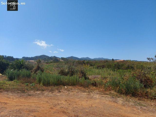 Local Comercial en venta en Campo de Golf, Tacoronte
