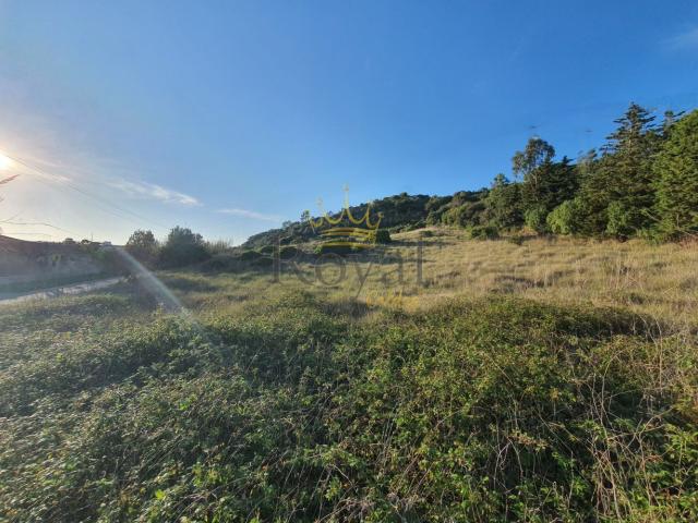 Terreno venda em A-da-Gorda, Óbidos