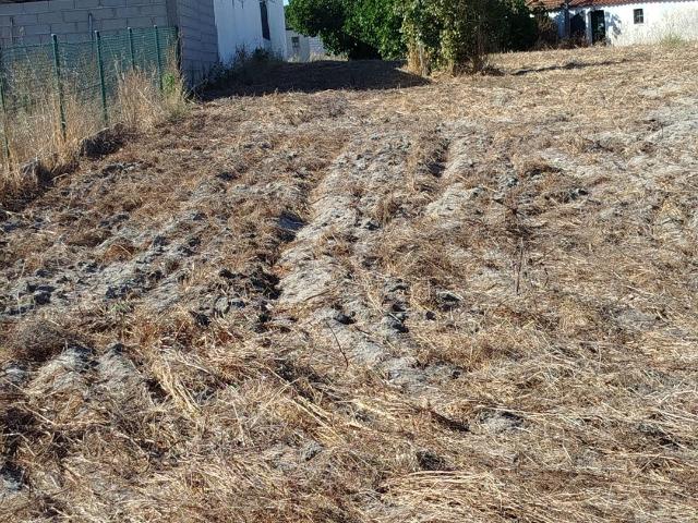 Terreno venda em Cartaxo, Santarém