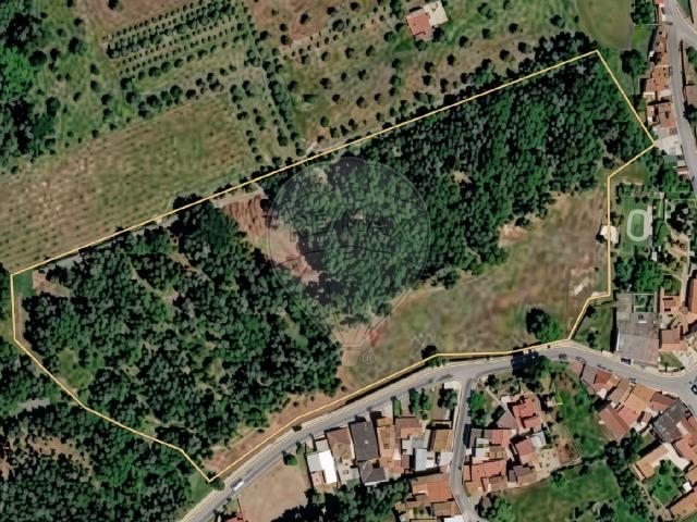 Terreno venda em Cantanhede, Coimbra