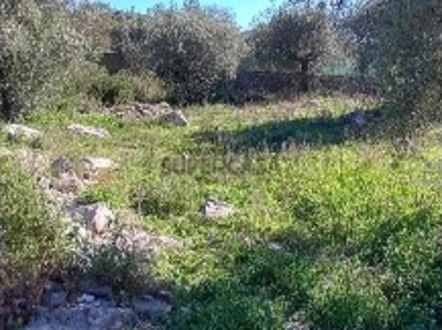 Terreno venda em Porto De Mós, Leiria