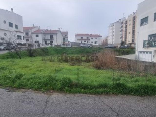 Terreno venda em Castelo Branco