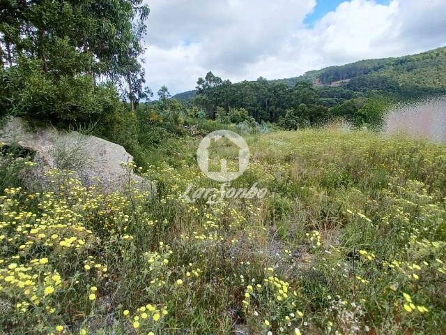 Terreno venda em Couto (São Miguel), Santo Tirso