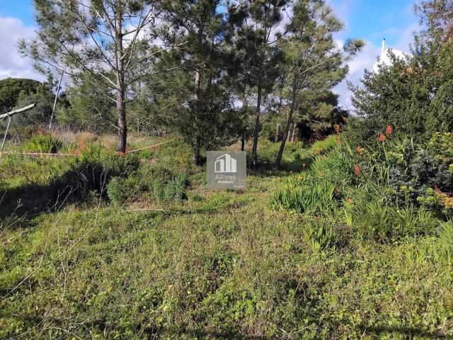 Terreno venda em Almada, Setúbal