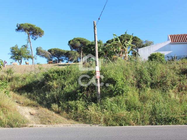 Terreno venda em Sesimbra (Castelo), Sesimbra