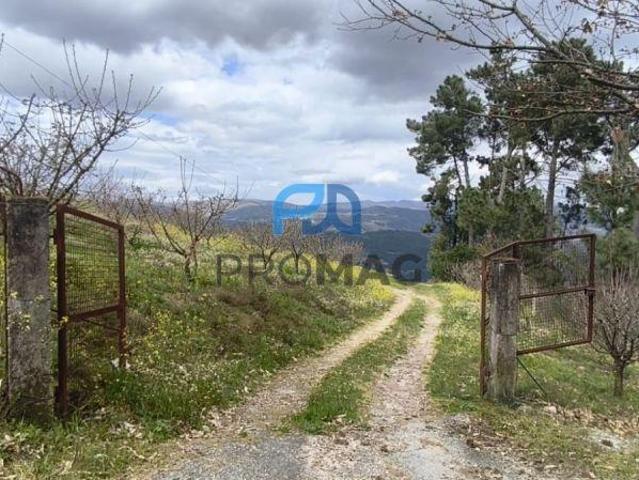 Terreno venda em Resende, Viseu