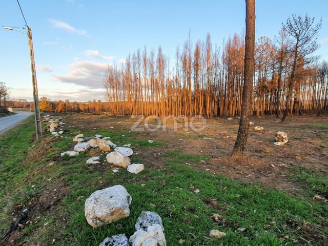 Terreno venda em Sátão, Viseu
