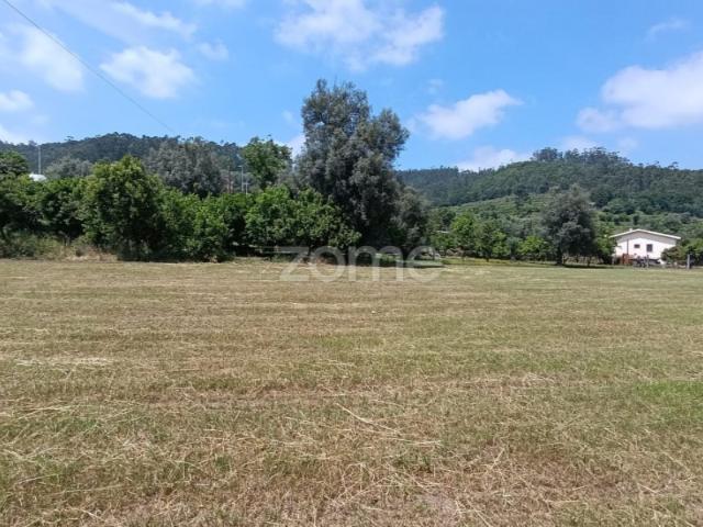Terreno venda em Pardinheiro, Amares